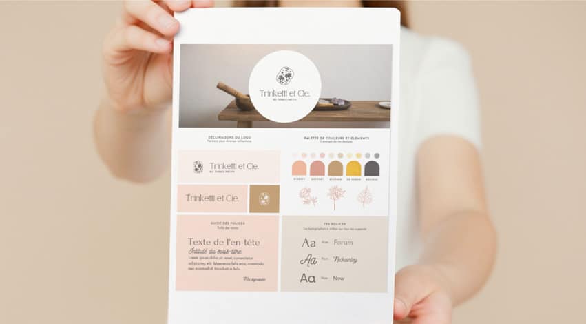 Formation pour la création de charte graphique sous canva